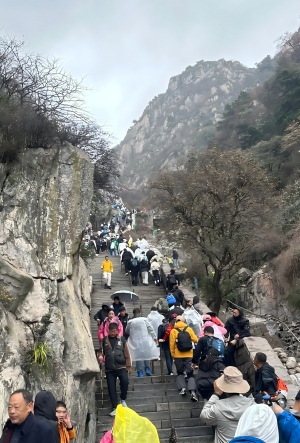 泰山(2-7).jpg