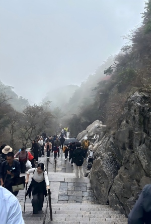 泰山(2-3).jpg